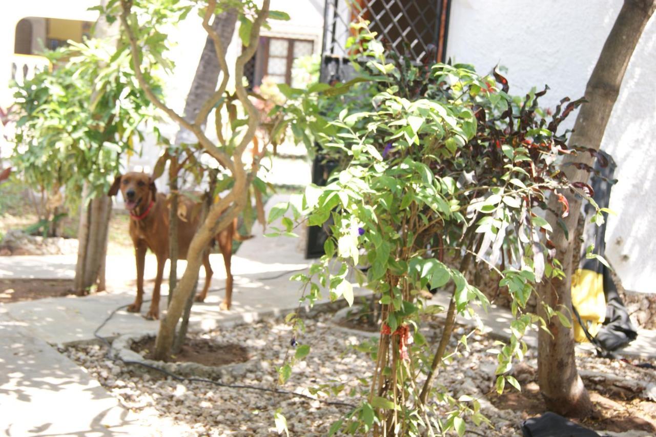 Luciano & Grace Apartments Watamu Eksteriør billede