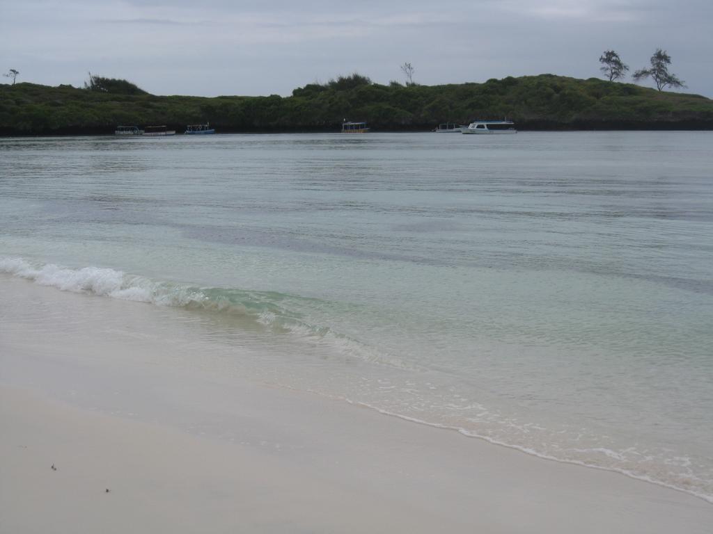 Luciano & Grace Apartments Watamu Eksteriør billede